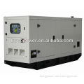 250kW Large Power Diesel Generator by Cummins engine